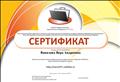 Сертификат участия в сетевом профессиональном сообществе "Netfolio" Сертификат участия в сетевом профессиональном сообществе "Netfolio"